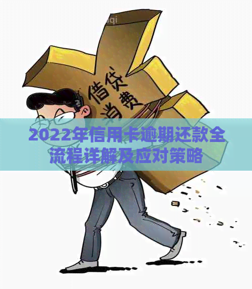 2022年信用卡逾期还款全流程详解及应对策略