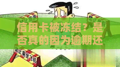 信用卡被冻结？是否真的因为逾期还款，还有其他原因可能导致此情况吗？