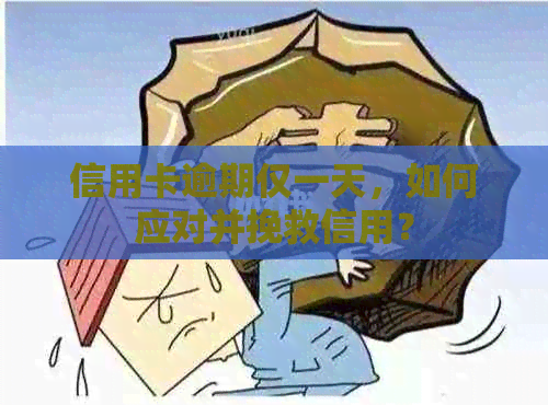 信用卡逾期仅一天，如何应对并挽救信用？