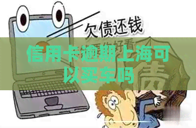 信用卡逾期上海可以买车吗