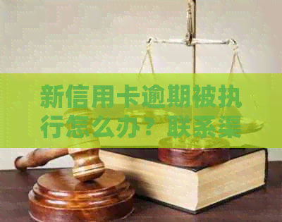 新信用卡逾期被执行怎么办？联系渠道及应对方法全解析