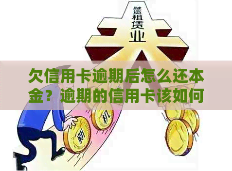 欠信用卡逾期后怎么还本金？逾期的信用卡该如何归还？