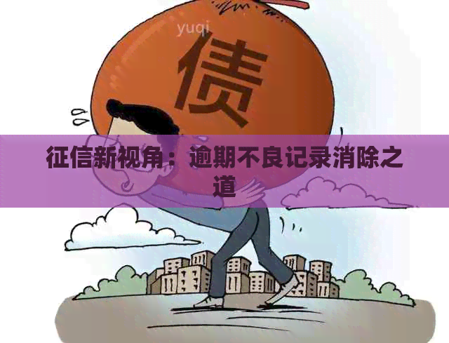 新视角：逾期不良记录消除之道