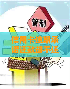 信用卡逾期承诺还款却不还