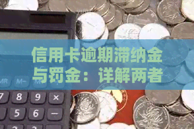 信用卡逾期滞纳金与罚金：详解两者差异及如何避免高额费用