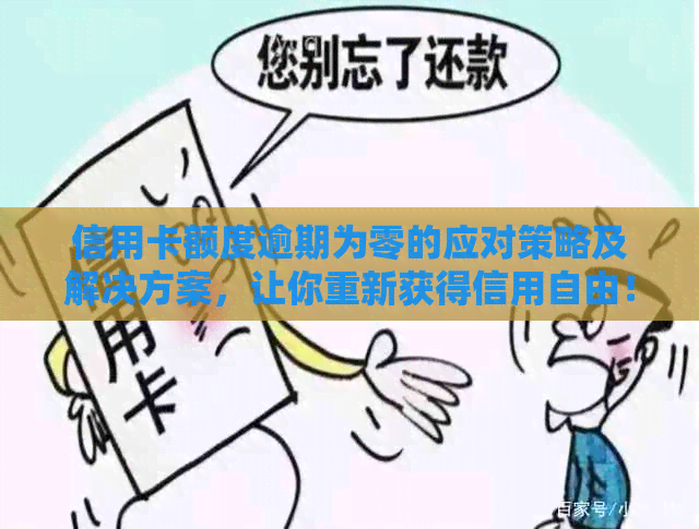 信用卡额度逾期为零的应对策略及解决方案，让你重新获得信用自由！