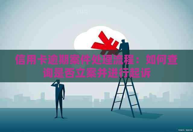 信用卡逾期案件处理流程：如何查询是否立案并进行起诉