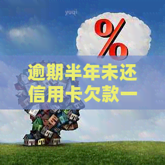 逾期半年未还信用卡欠款一千元，我应该如何解决这个问题？