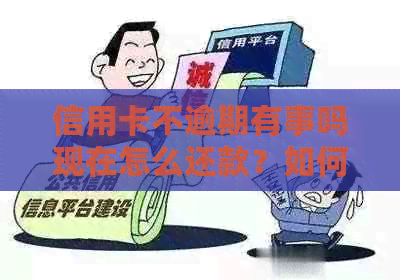 信用卡不逾期有事吗现在怎么还款？如何避免被拒原因？