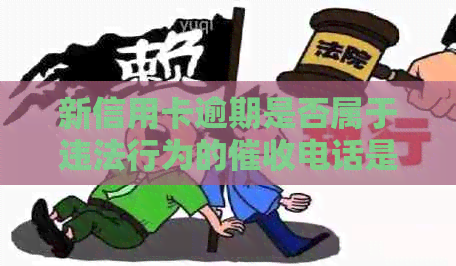 新信用卡逾期是否属于违法行为的电话是否算？