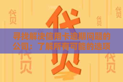 寻找解决信用卡逾期问题的公司：了解所有可能的选项和解决方案