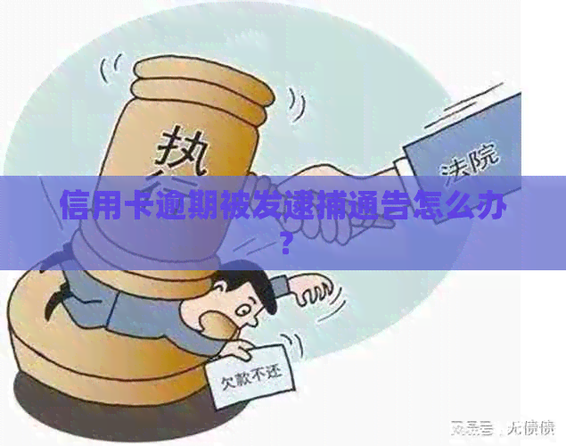 信用卡逾期被发逮捕通告怎么办？