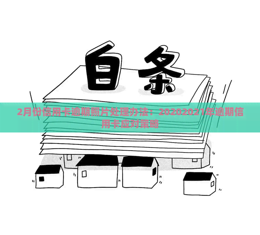 2月份信用卡逾期照片处理办法：20202021年逾期信用卡应对策略