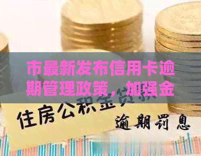 市最新发布信用卡逾期管理政策，加强金融秩序维护