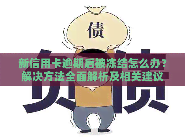 新信用卡逾期后被冻结怎么办？解决方法全面解析及相关建议