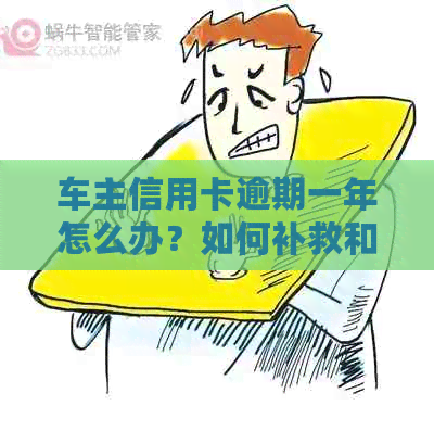 车主信用卡逾期一年怎么办？如何补救和解决方法