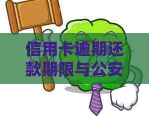 信用卡逾期还款期限与公安查询时间的相关探讨