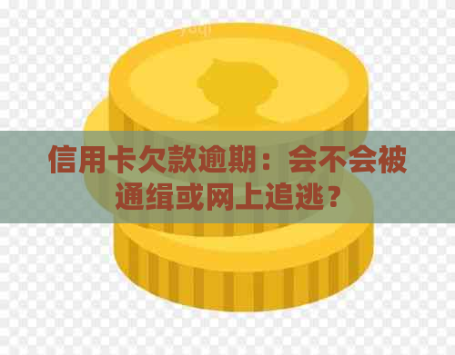 信用卡欠款逾期：会不会被通缉或网上追逃？