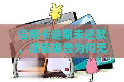 信用卡逾期未还款，报告为何无迹可寻？解答用户常见疑虑