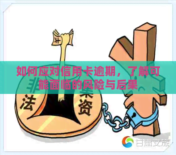 如何应对信用卡逾期，了解可能面临的风险与后果