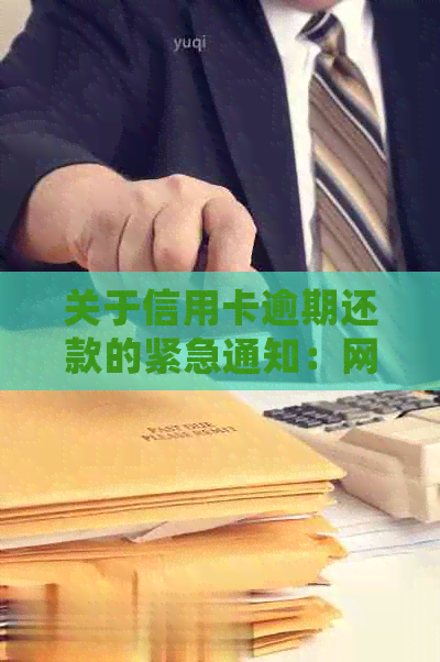 关于信用卡逾期还款的紧急通知：网上追逃邮件的真实性核查与处理