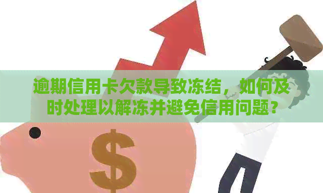 逾期信用卡欠款导致冻结，如何及时处理以解冻并避免信用问题？