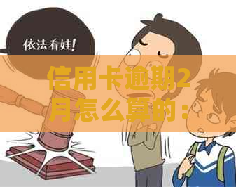 信用卡逾期2月怎么算的：20元逾期两个月，欠款如何处理？