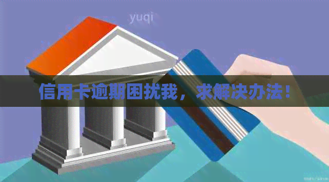 信用卡逾期困扰我，求解决办法！