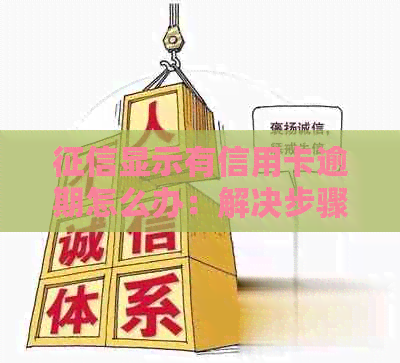 显示有信用卡逾期怎么办：解决步骤与影响分析