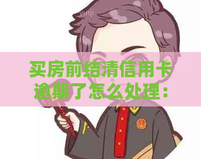 买房前结清信用卡逾期了怎么处理：解决办法和注意事项