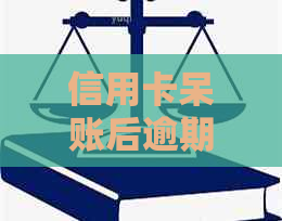 信用卡呆账后逾期贷款的解除之道：如何在困境中寻求借款机会