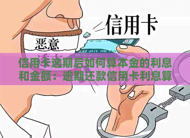 信用卡逾期后如何算本金的利息和金额：逾期还款信用卡利息算法解析