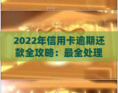 2022年信用卡逾期还款全攻略：最全处理流程、政策详解和最新通知