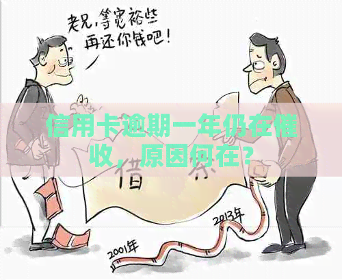 信用卡逾期一年仍在，原因何在？