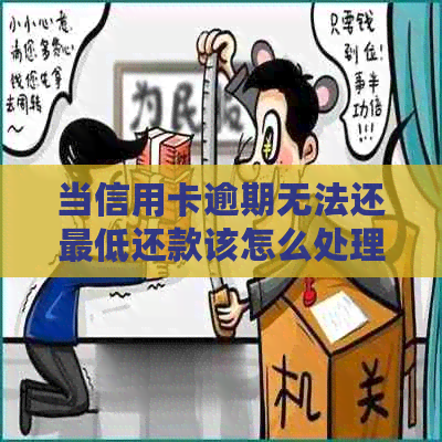 当信用卡逾期无法还更低还款该怎么处理