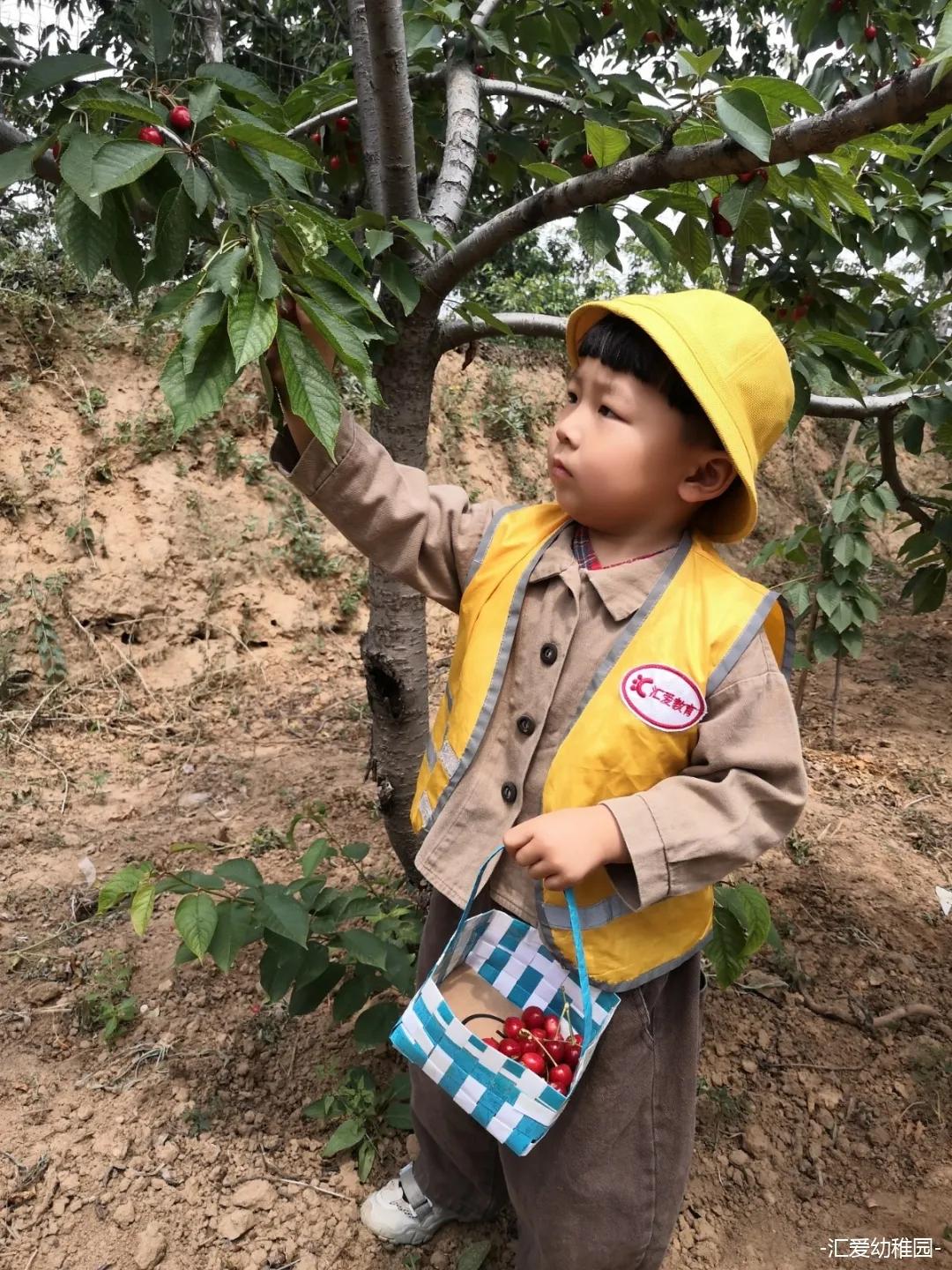 幼儿园ai智能课程启动文案