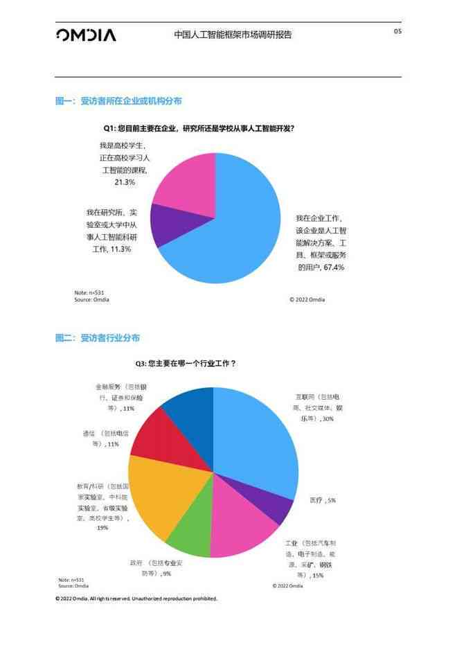 21页ai调查报告