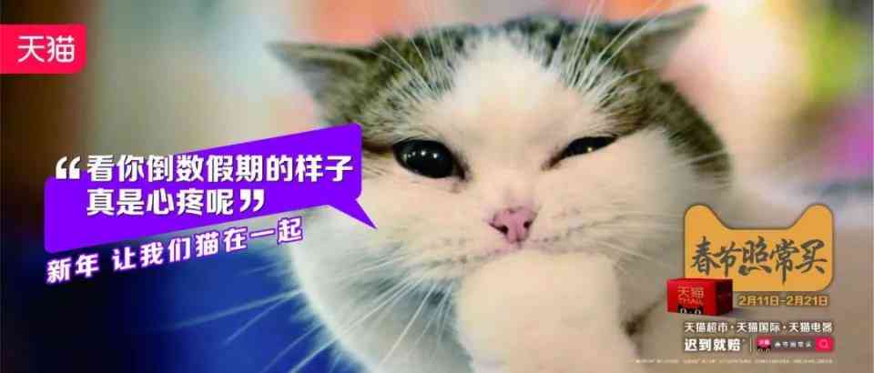 猫咪ai变身文案