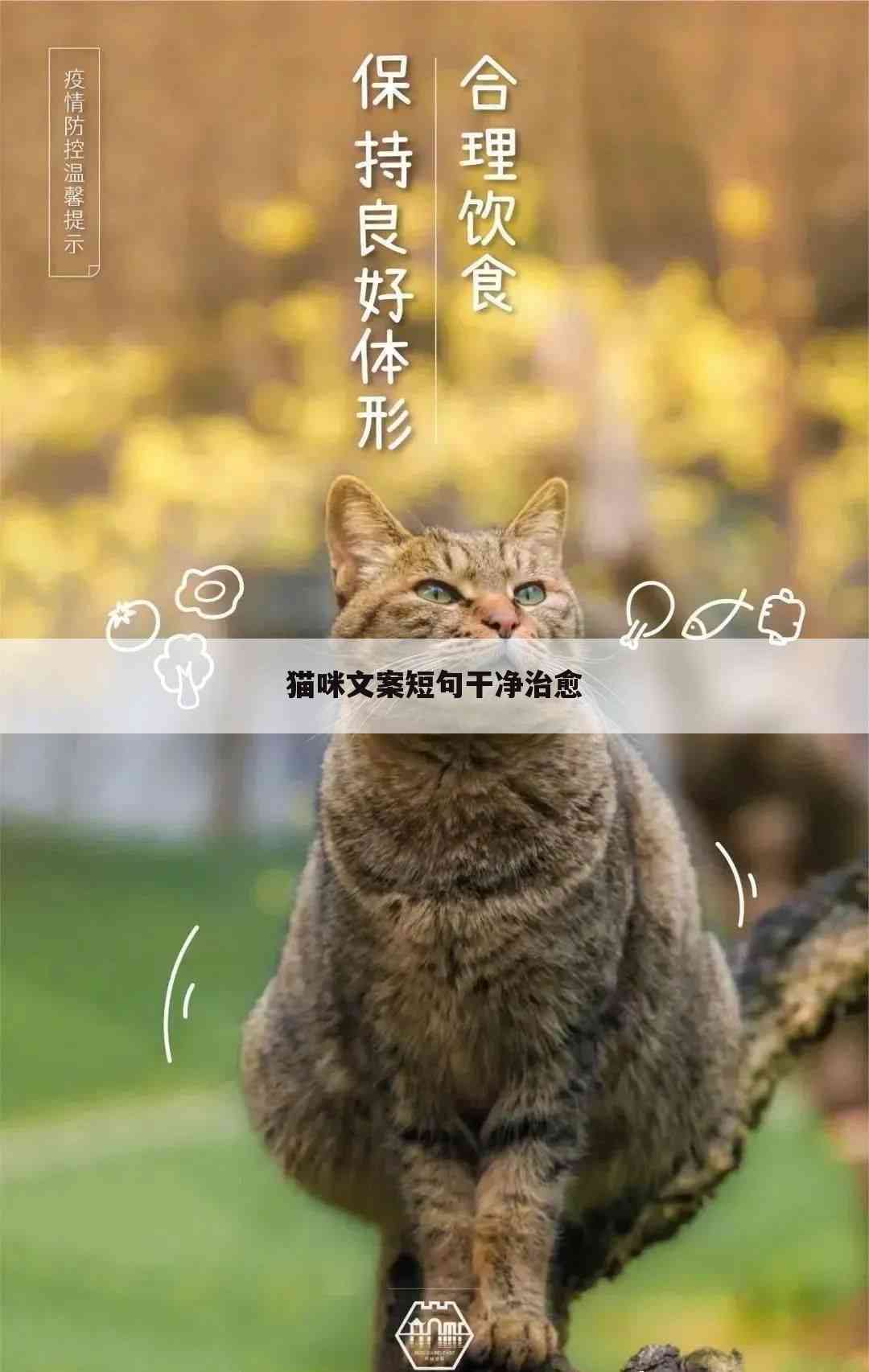 猫咪ai变身文案