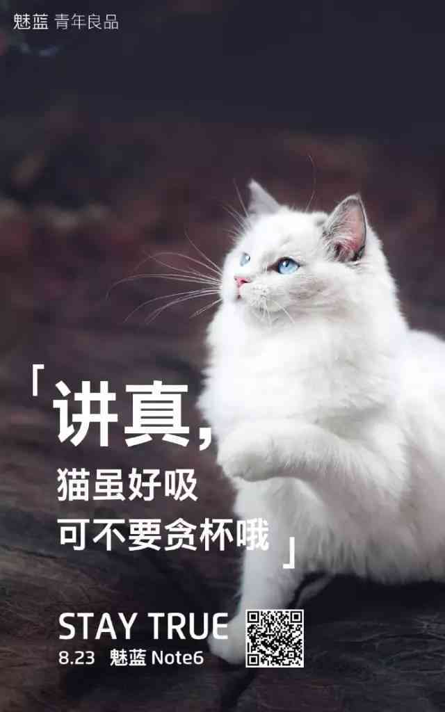 猫咪ai变身文案