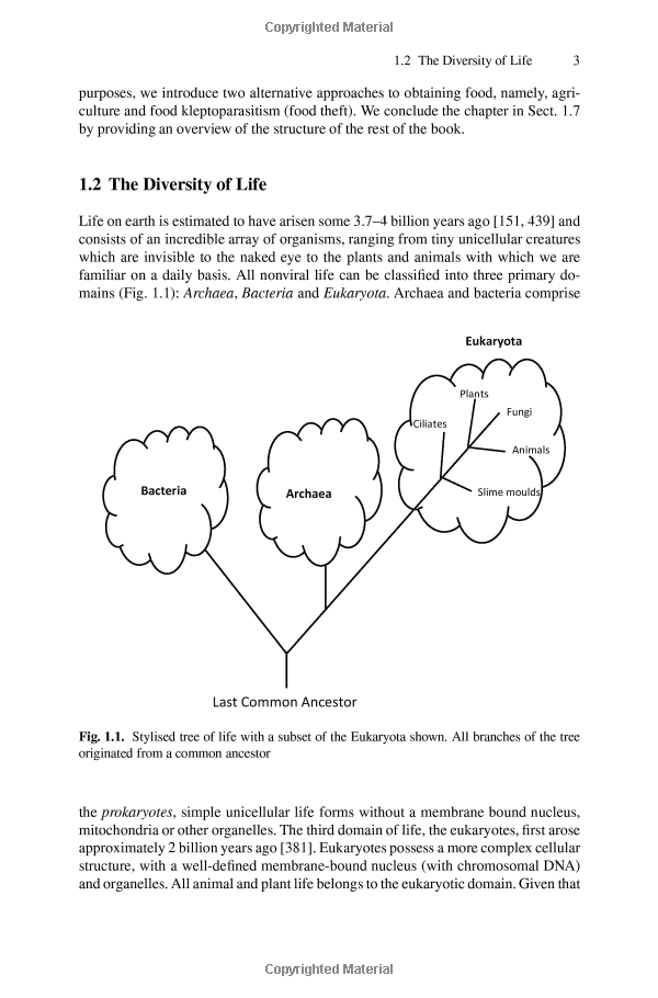 Optimal AI-Generated Copy Selection: English Translation Strategies