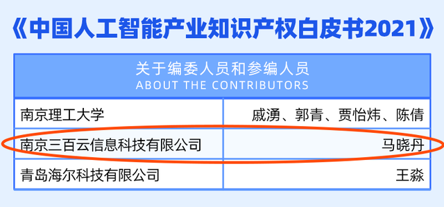 人工智能领域专利申请指南：涵发明、保护策略与案例分析