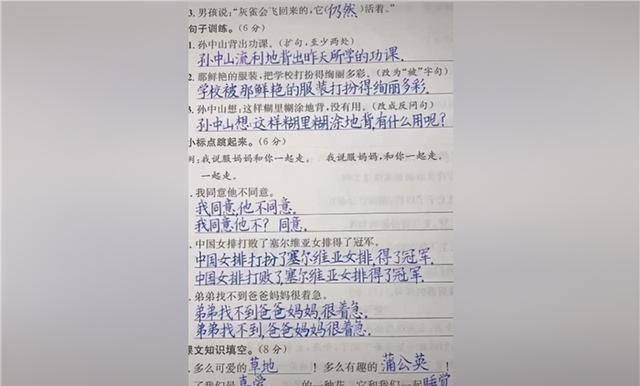 识字调查简报：小学生识字情况与写字能力调查问卷及报告总结