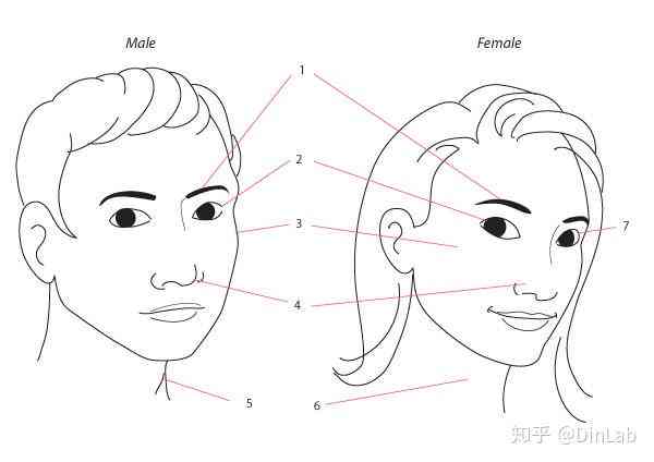 全方位解析：脸特点与绘制技巧，让你轻松打造个性化角色形象