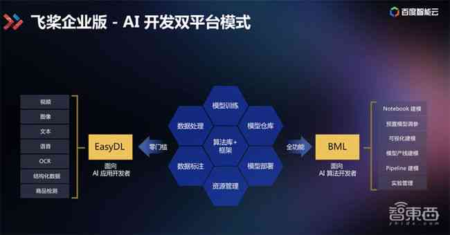 ai平台开发_AI平台开发与实施服务