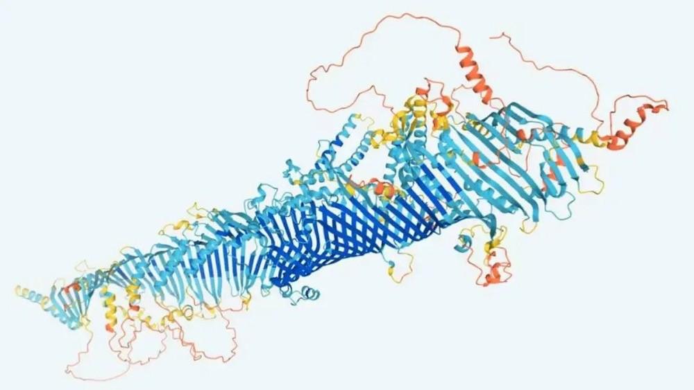 AI技术在生物科学领域的应用与前景：探索人工智能如何推动生物学研究与发展