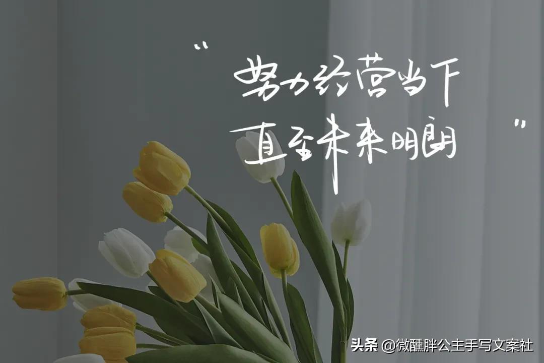 全方位原创文案检测与创作指南：精准满足您的搜索需求