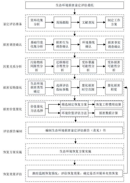 全面指南：如何撰写环境影响评估报告书及其关键要素