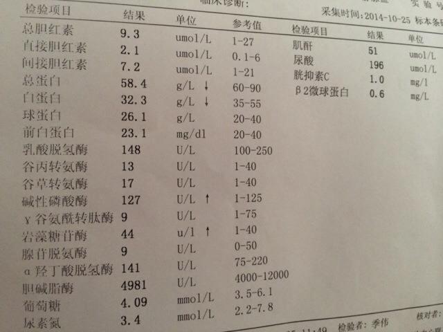 胃镜检查报告GTST含义解析：揭开其背后的健康密码