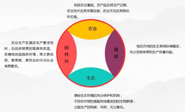 如何撰写吸引眼球的菜品介绍文案：关键技巧与实用指南